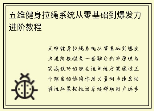 五维健身拉绳系统从零基础到爆发力进阶教程
