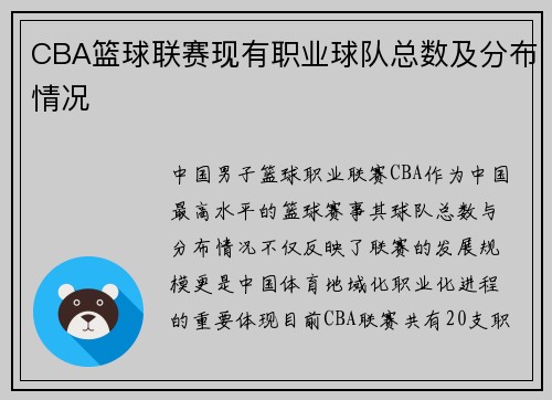CBA篮球联赛现有职业球队总数及分布情况