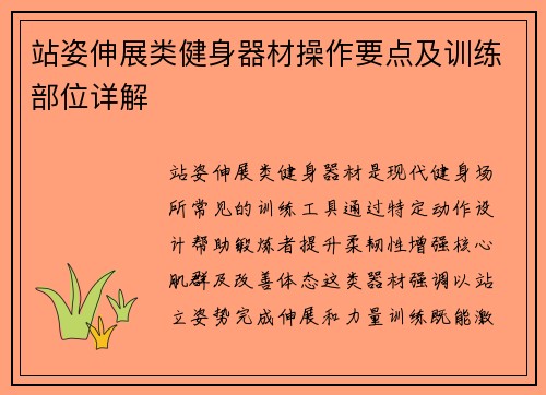 站姿伸展类健身器材操作要点及训练部位详解